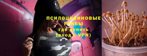мдпв Пестово