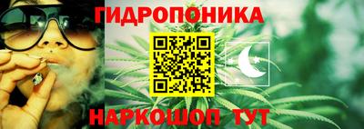 дмт Абинск