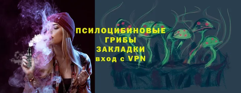 Галлюциногенные грибы Magic Shrooms  blacksprut вход  Апатиты  где найти  