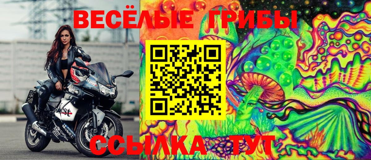 Галлюциногенные грибы MAGIC MUSHROOMS  Апатиты  Псилоцибиновые грибы Magic Shrooms 