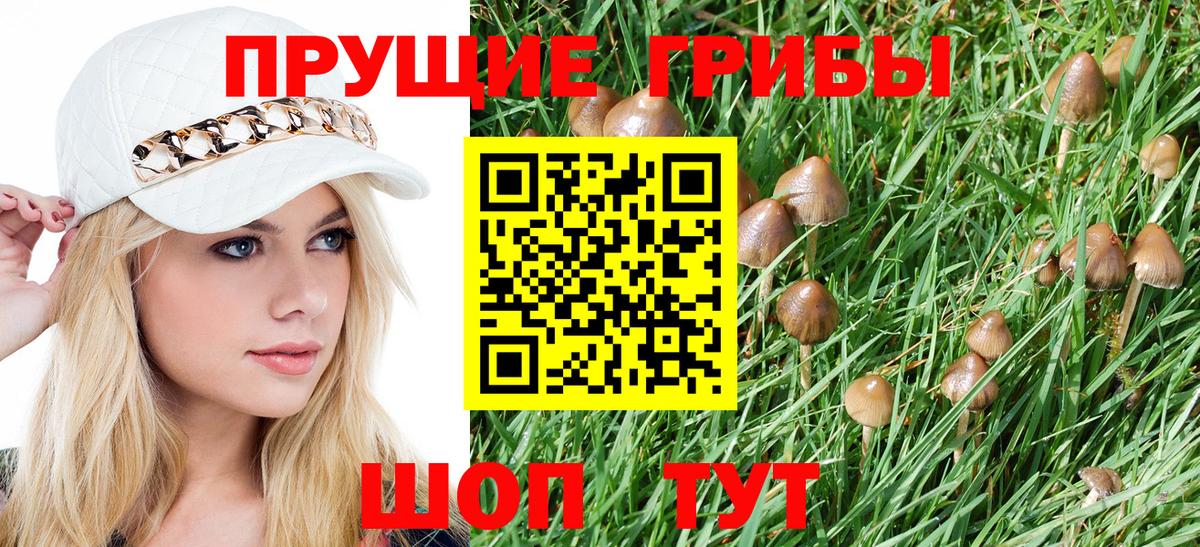 Псилоцибиновые грибы ЛСД Апатиты
