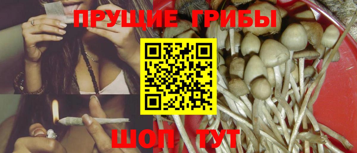 Псилоцибиновые грибы прущие грибы Апатиты