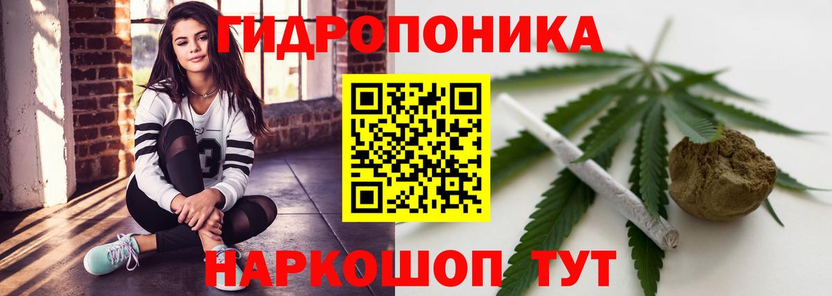 Шишки марихуана OG Kush Апатиты